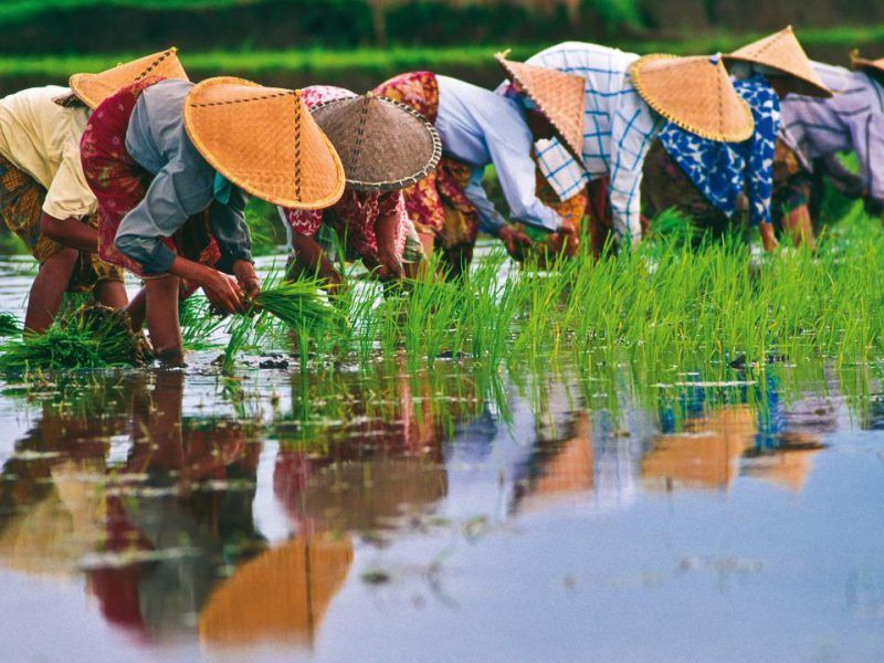 vietnam-curiosidades-cultura-la-vietnamita