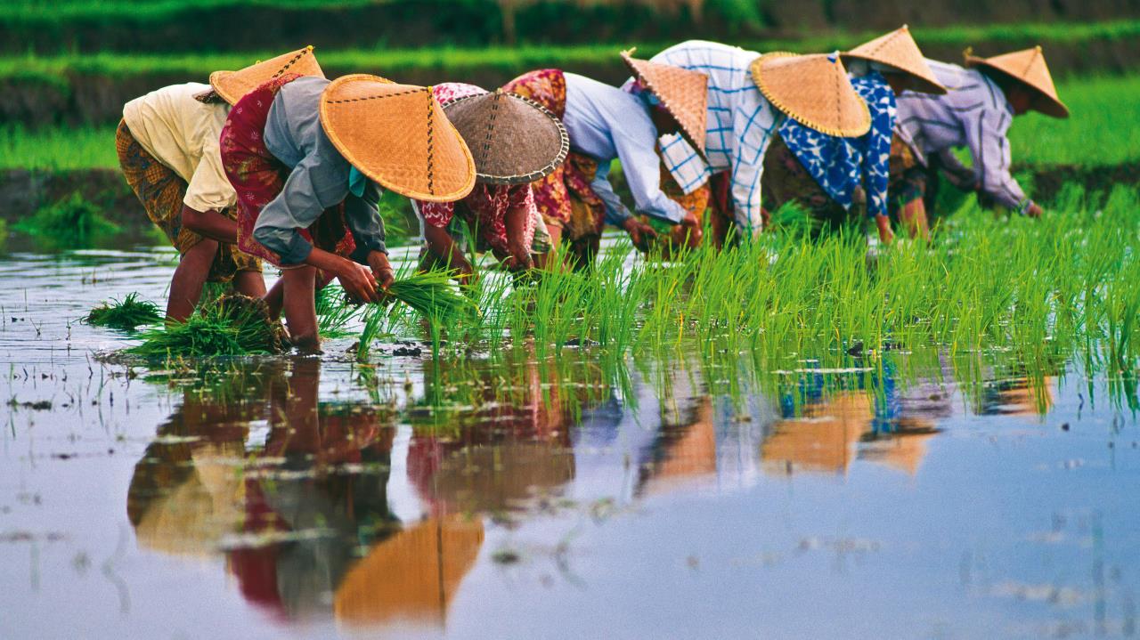 vietnam-curiosidades-cultura-la-vietnamita